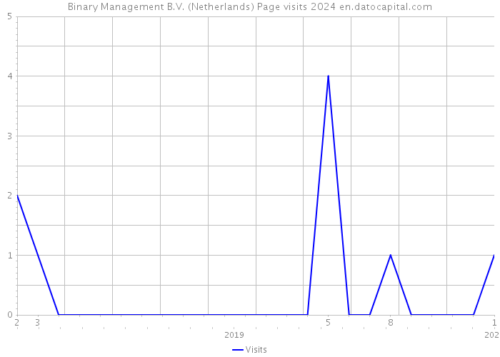 Binary Management B.V. (Netherlands) Page visits 2024 