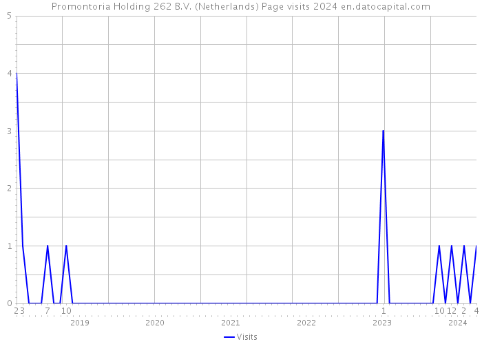 Promontoria Holding 262 B.V. (Netherlands) Page visits 2024 