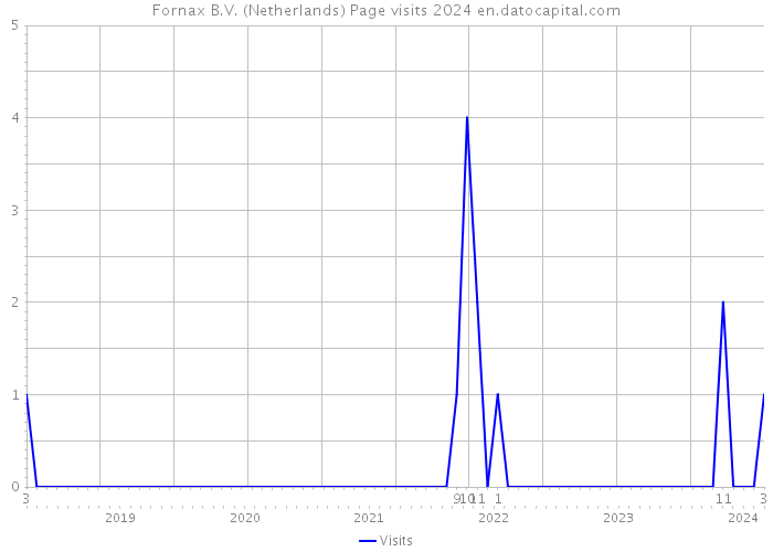 Fornax B.V. (Netherlands) Page visits 2024 