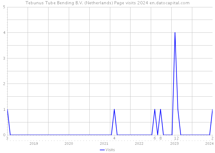 Tebunus Tube Bending B.V. (Netherlands) Page visits 2024 