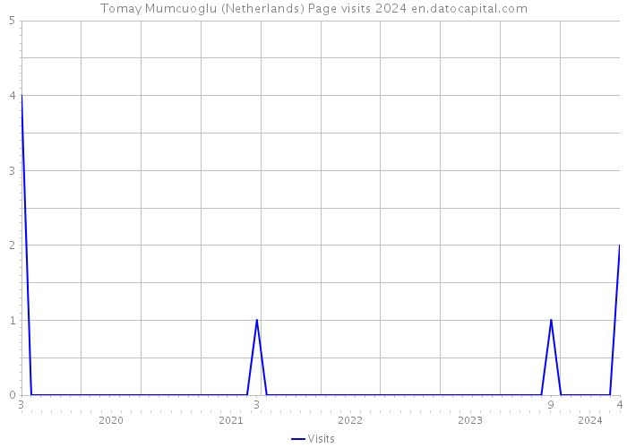 Tomay Mumcuoglu (Netherlands) Page visits 2024 