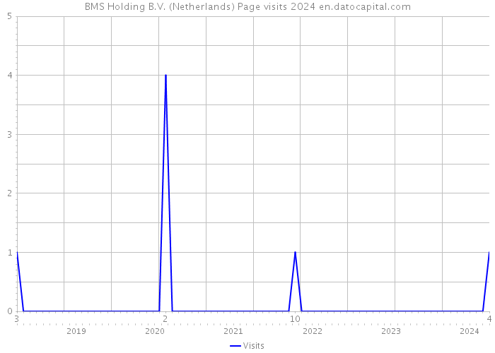 BMS Holding B.V. (Netherlands) Page visits 2024 