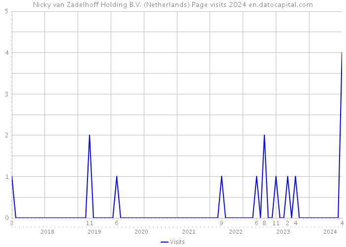 Nicky van Zadelhoff Holding B.V. (Netherlands) Page visits 2024 