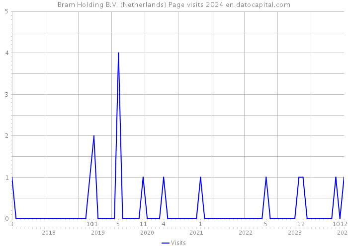 Bram Holding B.V. (Netherlands) Page visits 2024 