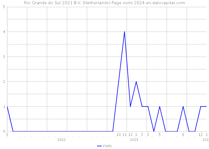 Rio Grande do Sul 2021 B.V. (Netherlands) Page visits 2024 
