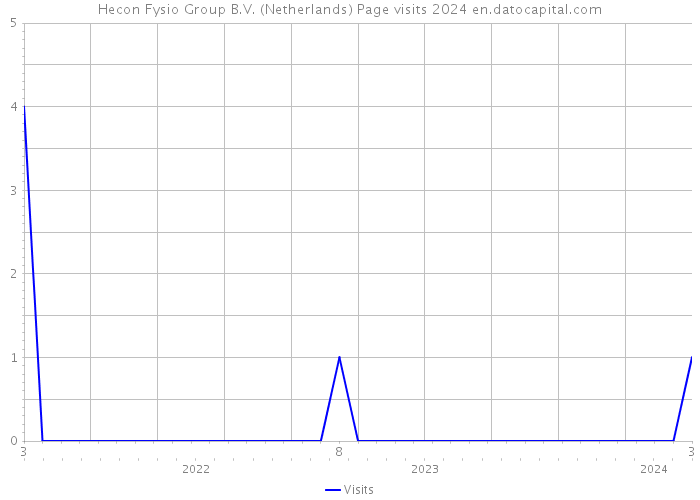 Hecon Fysio Group B.V. (Netherlands) Page visits 2024 