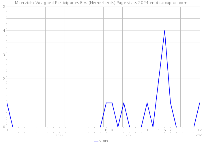 Meerzicht Vastgoed Participaties B.V. (Netherlands) Page visits 2024 