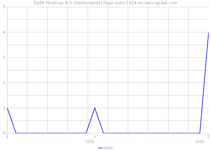 DaSh Holdings B.V. (Netherlands) Page visits 2024 