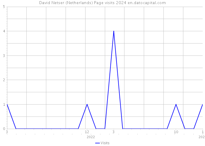 David Netser (Netherlands) Page visits 2024 
