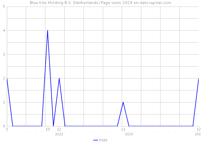 Blue Kite Holding B.V. (Netherlands) Page visits 2024 