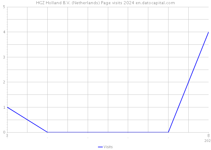 HGZ Holland B.V. (Netherlands) Page visits 2024 