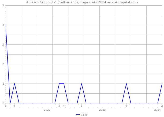 Amesco Group B.V. (Netherlands) Page visits 2024 