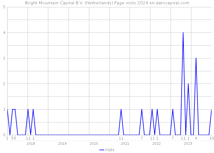 Bright Mountain Capital B.V. (Netherlands) Page visits 2024 