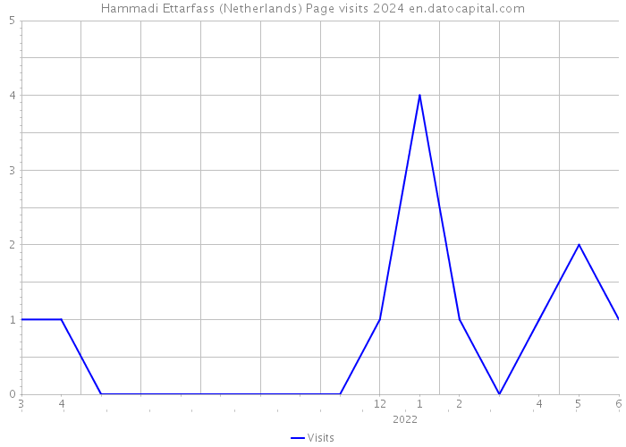 Hammadi Ettarfass (Netherlands) Page visits 2024 