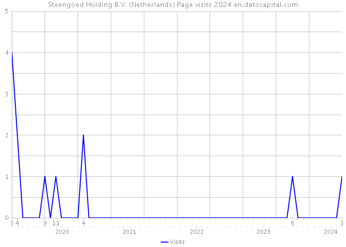 Steengoed Holding B.V. (Netherlands) Page visits 2024 