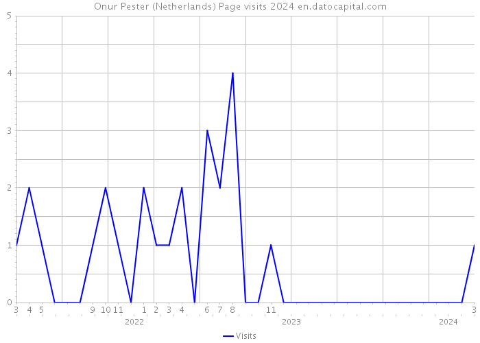 Onur Pester (Netherlands) Page visits 2024 