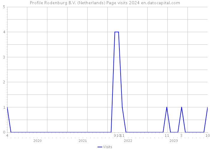 Profile Rodenburg B.V. (Netherlands) Page visits 2024 