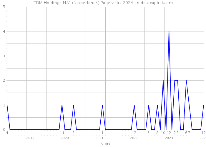 TDM Holdings N.V. (Netherlands) Page visits 2024 