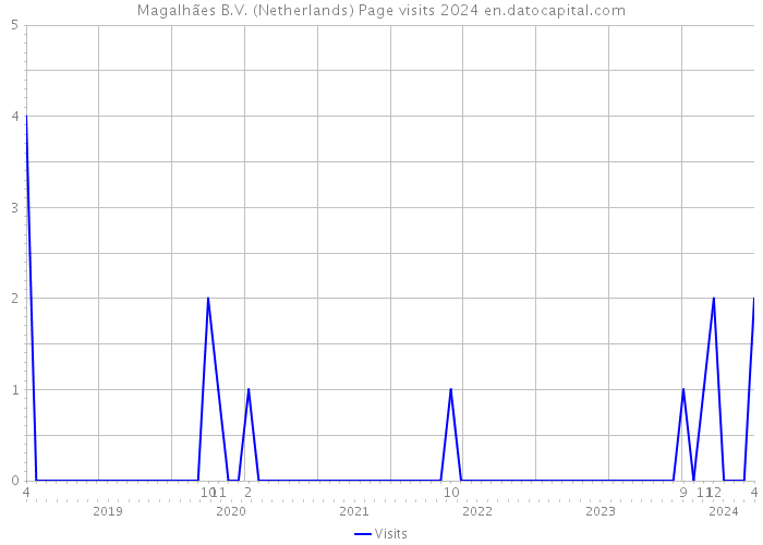 Magalhães B.V. (Netherlands) Page visits 2024 