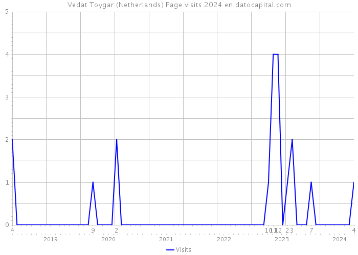 Vedat Toygar (Netherlands) Page visits 2024 