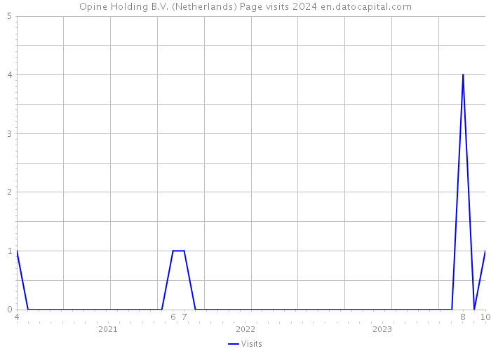 Opine Holding B.V. (Netherlands) Page visits 2024 