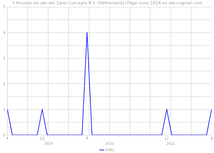 't Hoentje en van der Zalm Concepts B.V. (Netherlands) Page visits 2024 
