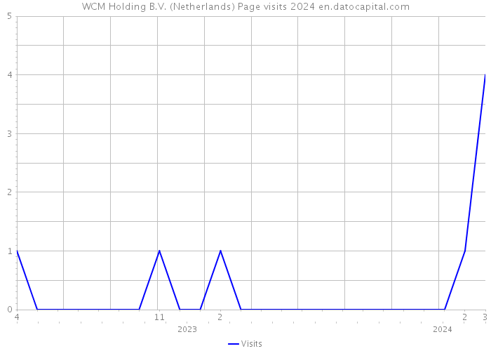 WCM Holding B.V. (Netherlands) Page visits 2024 