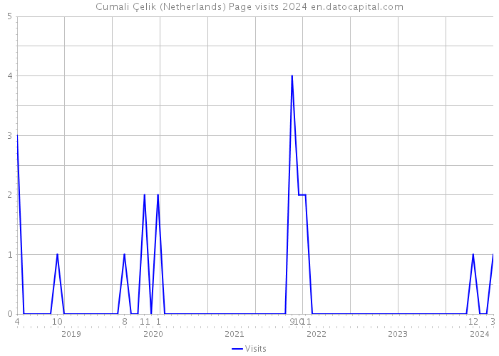 Cumali Çelik (Netherlands) Page visits 2024 