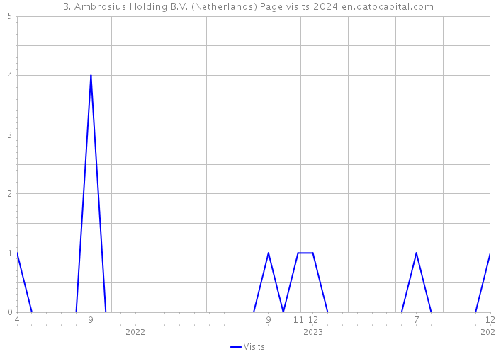B. Ambrosius Holding B.V. (Netherlands) Page visits 2024 