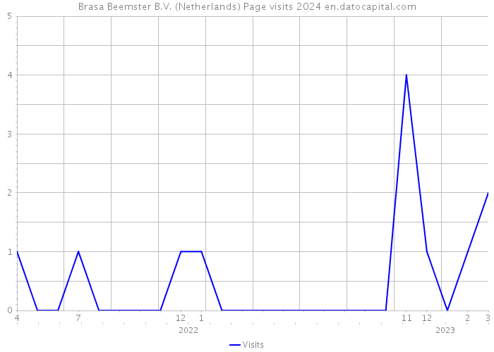 Brasa Beemster B.V. (Netherlands) Page visits 2024 