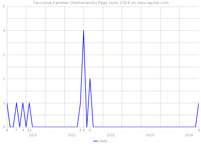 Yaroslava Kammer (Netherlands) Page visits 2024 
