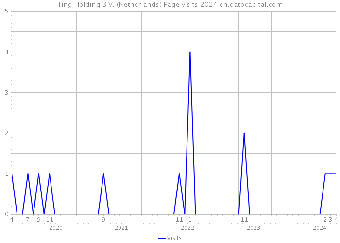Ting Holding B.V. (Netherlands) Page visits 2024 