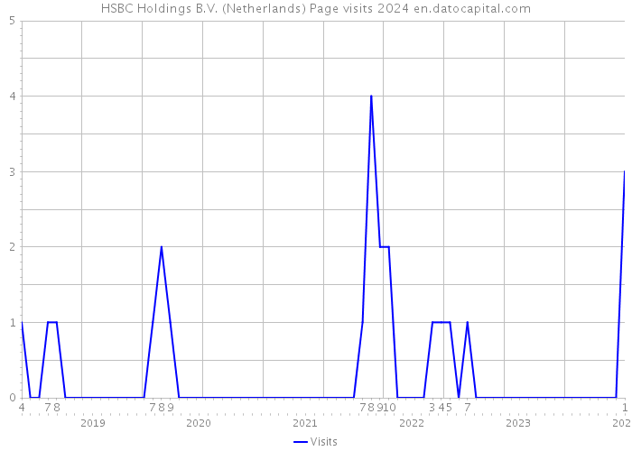 HSBC Holdings B.V. (Netherlands) Page visits 2024 
