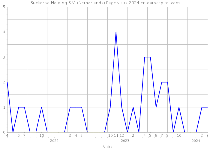 Buckaroo Holding B.V. (Netherlands) Page visits 2024 