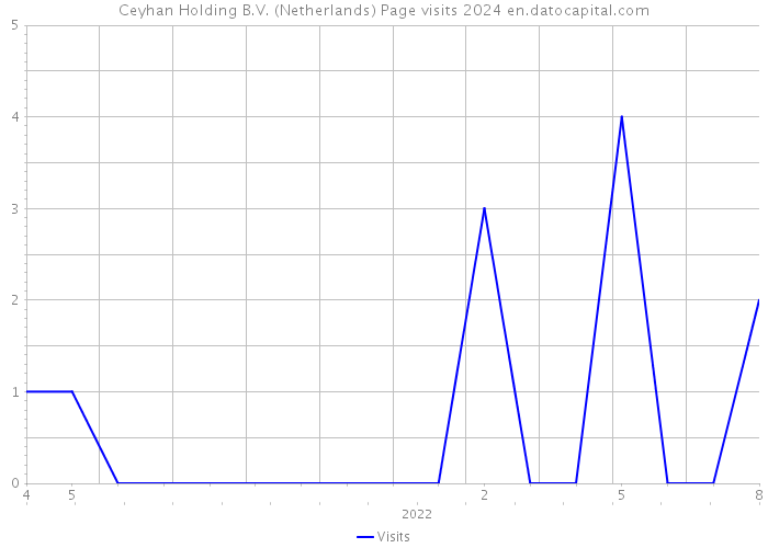 Ceyhan Holding B.V. (Netherlands) Page visits 2024 