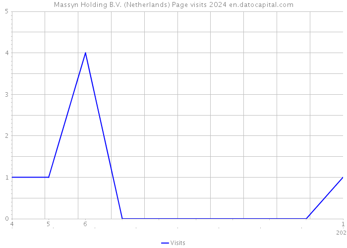 Massyn Holding B.V. (Netherlands) Page visits 2024 