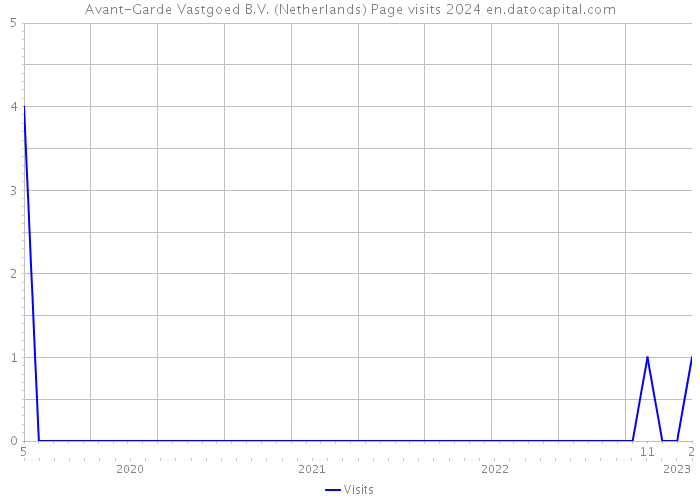 Avant-Garde Vastgoed B.V. (Netherlands) Page visits 2024 
