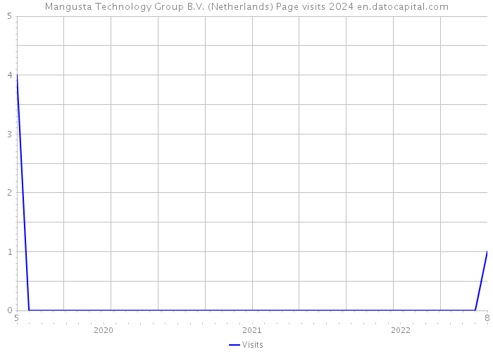 Mangusta Technology Group B.V. (Netherlands) Page visits 2024 