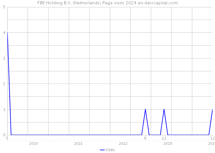 FBE Holding B.V. (Netherlands) Page visits 2024 