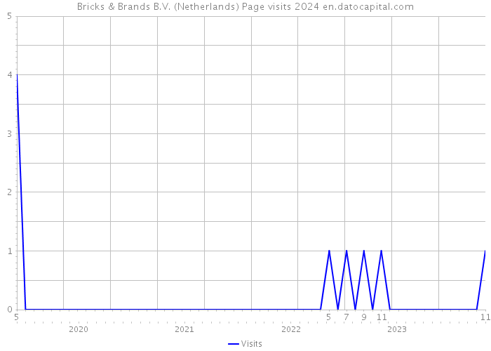 Bricks & Brands B.V. (Netherlands) Page visits 2024 