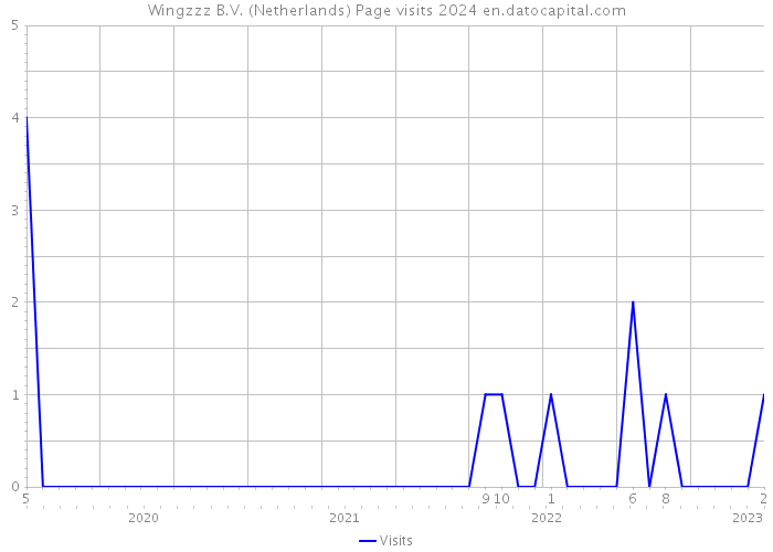 Wingzzz B.V. (Netherlands) Page visits 2024 