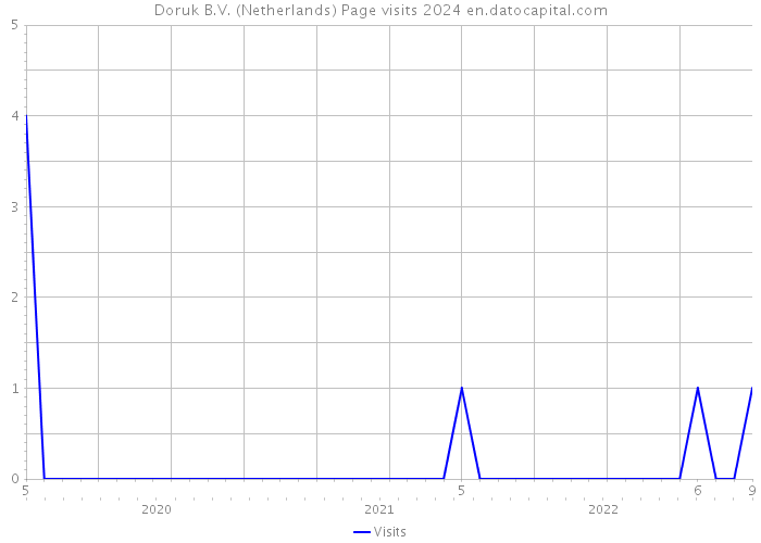 Doruk B.V. (Netherlands) Page visits 2024 