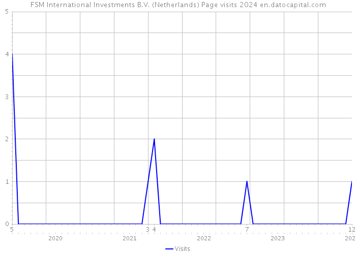 FSM International Investments B.V. (Netherlands) Page visits 2024 