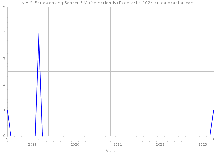 A.H.S. Bhugwansing Beheer B.V. (Netherlands) Page visits 2024 