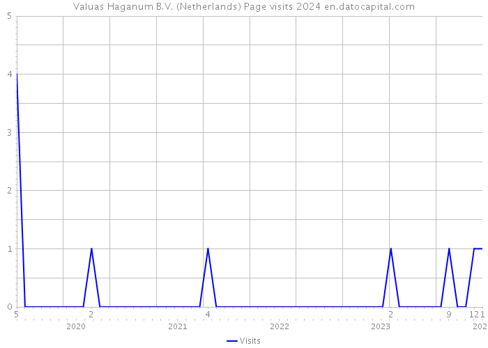 Valuas Haganum B.V. (Netherlands) Page visits 2024 