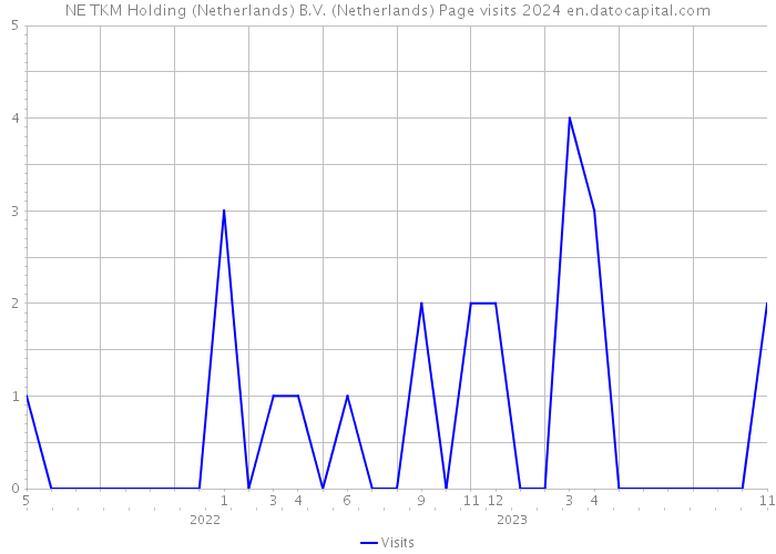NE TKM Holding (Netherlands) B.V. (Netherlands) Page visits 2024 