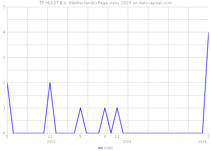TP HULST B.V. (Netherlands) Page visits 2024 