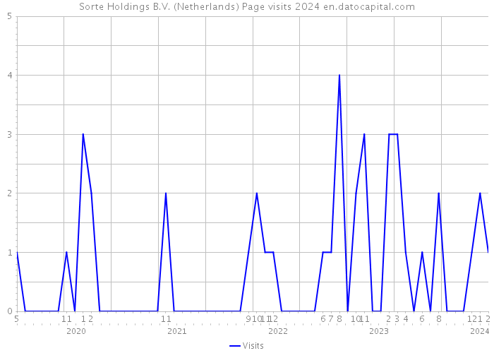 Sorte Holdings B.V. (Netherlands) Page visits 2024 