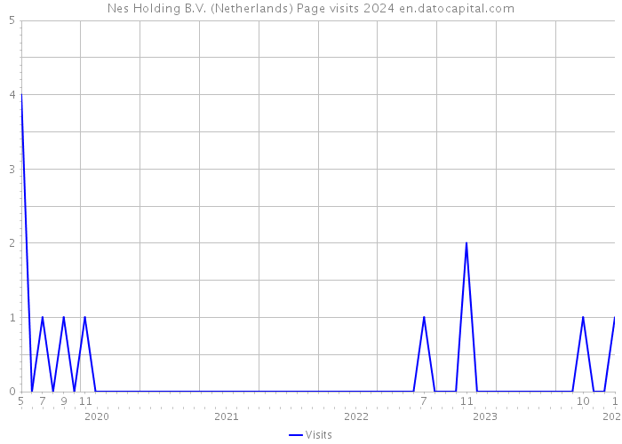 Nes Holding B.V. (Netherlands) Page visits 2024 