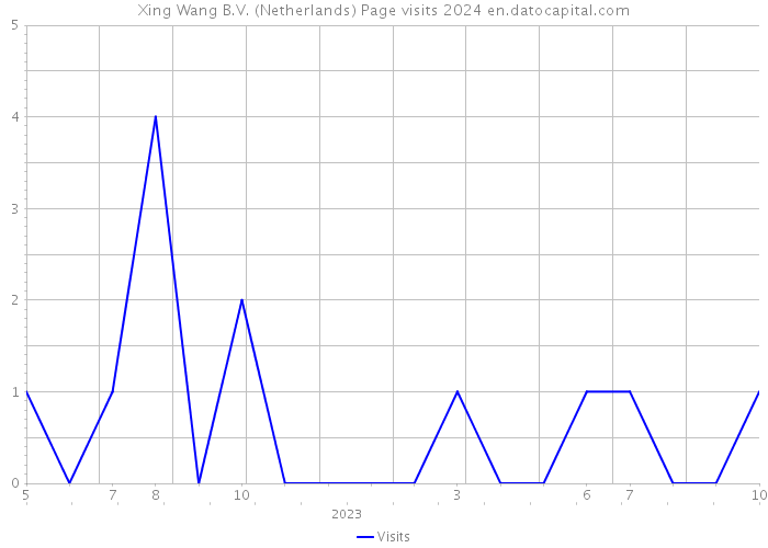 Xing Wang B.V. (Netherlands) Page visits 2024 